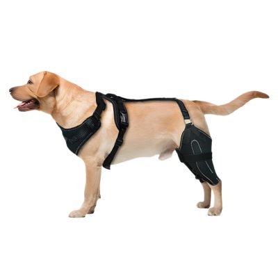 Adjustable Hip Brace for Dogs with Metal Stabilizers