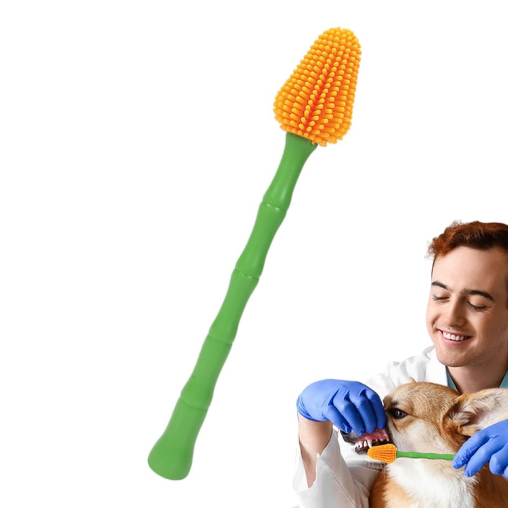 Pet Toothbrush with Long Handle