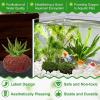 Fenayuu Aquarium Plant Weights, 4-Piece Volcanic Rock Set view 2