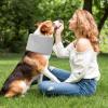 No-Lick Dog Collar, Adjustable Wound Care view 2