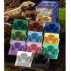 Automatic Reptile Water Dispenser with Refill System view 4