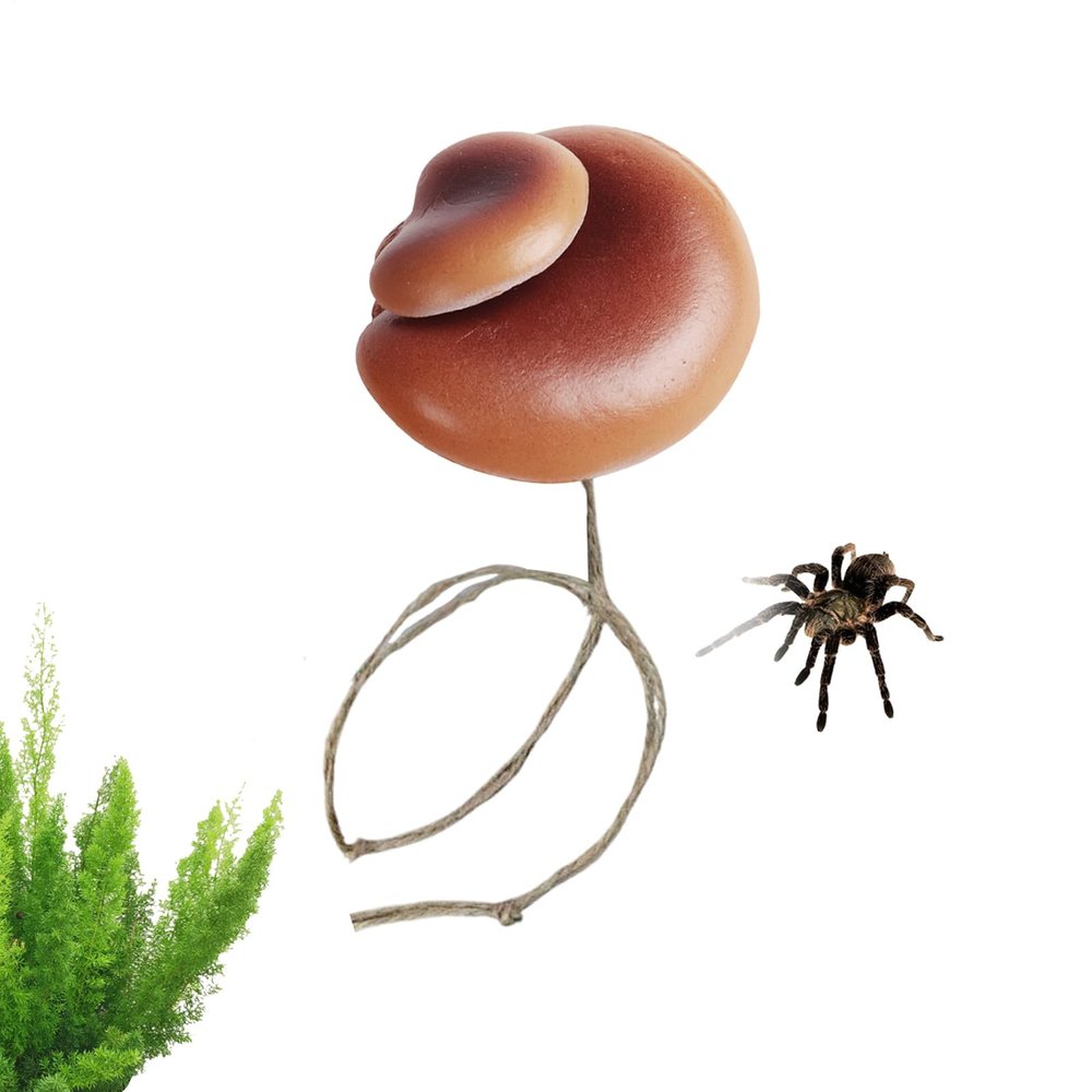 Mushroom Decor for Jumping Spider Terrariums