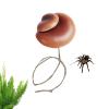 Mushroom Decor for Jumping Spider Terrariums view 1