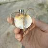 Mushroom Decor for Jumping Spider Terrariums view 2