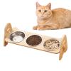 Elevated Stand for Cat Food Bowls, Angled Feeder with 3 Compartments view 1