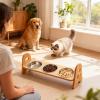 Elevated Stand for Cat Food Bowls, Angled Feeder with 3 Compartments view 2