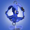 Cat Harness - Kitten Leash Set view 2