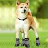 Hobngmuc Dog Paw Protectors view 2