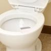 Ipetboom Toilet Seat Bumpers - 4 Pairs view 4