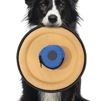 Generic Puppy Flying Discs | Flying Disc with Treat Pocket