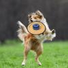 Generic Puppy Flying Discs | Flying Disc with Treat Pocket view 2