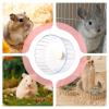 Quiet Hamster Wheel – Compact, Low-Noise view 4