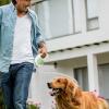Retractable Dog Leash | 3 Meters Tangle-Free view 2