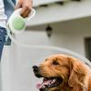 Retractable Dog Leash | 3 Meters Tangle-Free view 3