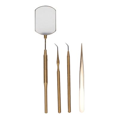 Lash Extension Tool Kit with 360° Stainless Steel Inspection Mirror, Tweezers and Pickup Sticks, 20.8 cm, Gold