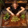Acunny Artificial Plants for Reptiles view 2