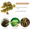 Acunny Artificial Plants for Reptiles view 4