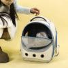 Safe, Comfortable, Breathable Pet Carrier view 2