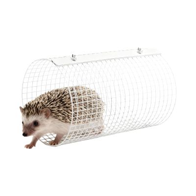 Hamster Tunnel for Small Pets