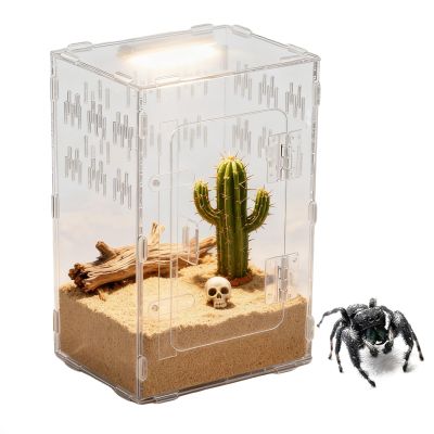 Terrarium for Tarantulas