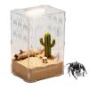 Terrarium for Tarantulas view 1