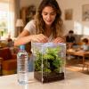 Terrarium for Tarantulas view 2
