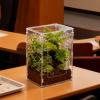 Terrarium for Tarantulas view 3