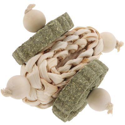 BESPORTBLE Chew Toy for Guinea Pigs and Rabbits
