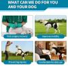 Adjustable Dog Knee Brace for Hind Leg with 4 Metal Stabilizers view 4