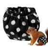 Squirrel Diapers - Highly Absorbent Urine Pants view 3