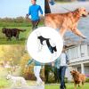 Generic Adjustable Knee Brace for Dogs view 4