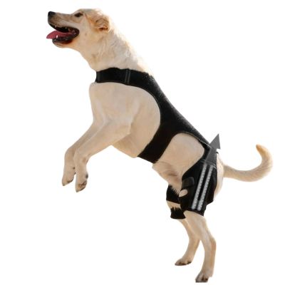 Generic Adjustable Knee Brace for Dogs