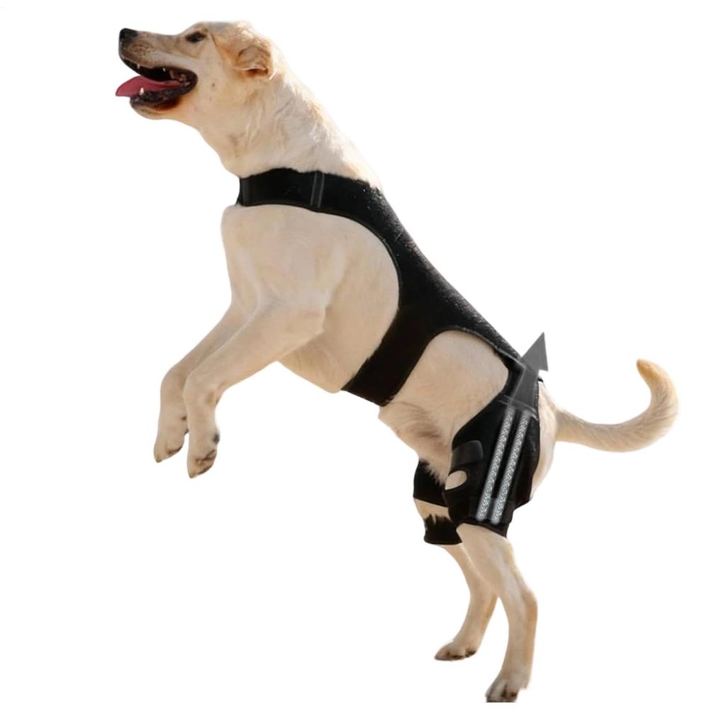 Generic Adjustable Knee Brace for Dogs