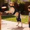Generic Adjustable Knee Brace for Dogs view 2