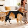 Generic Adjustable Knee Brace for Dogs view 3