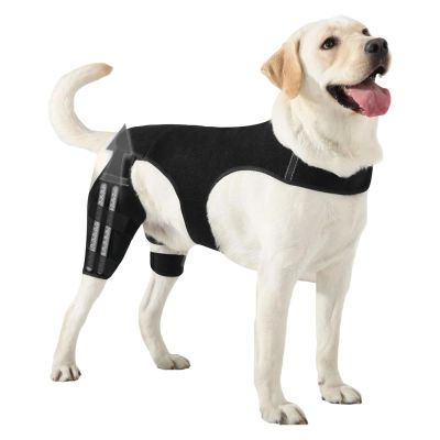 Adjustable Knee Braces for Dogs’ Hind Legs