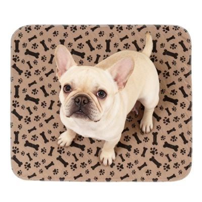 Washable Puppy Pads, Non-Slip Design, 30 x 30 cm