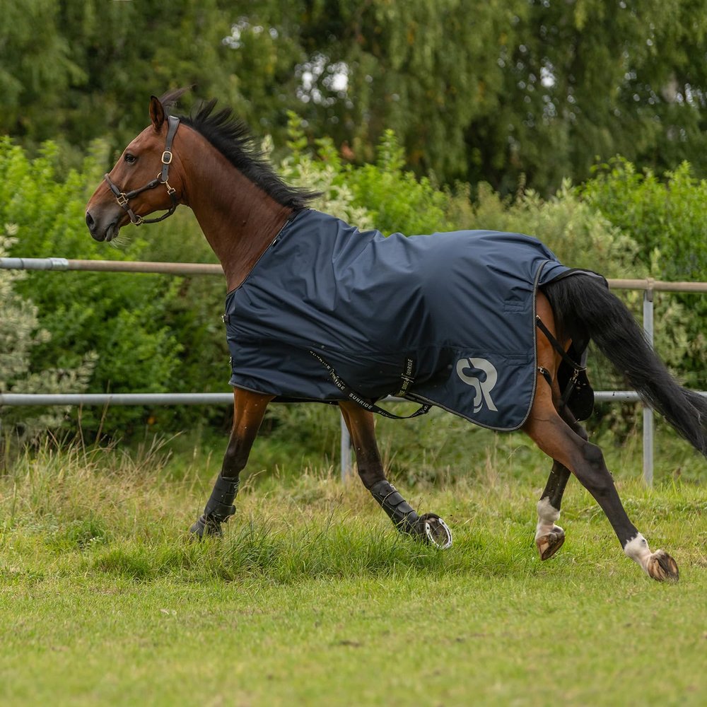 SUNRIDE Dublin 50g Rain Blanket for Horses – 600D, Waterproof, Blue, 155 cm