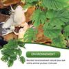 Artificial Plants for Reptiles with Base for Amphibians and Lizards view 4