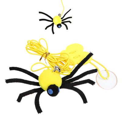 Cat Frame Toy with Hanging Spider