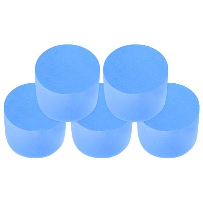 KOMBIUDA 5-Pack Blue Sponge Filters for Ant Nests and Test Tubes