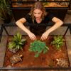 Generic Aquarium Plants - Faux Plants for Reptiles view 3