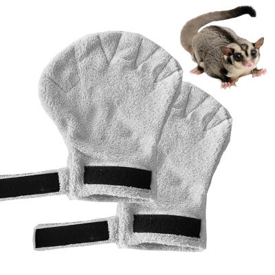 Sugar Glider Bonding Mitt