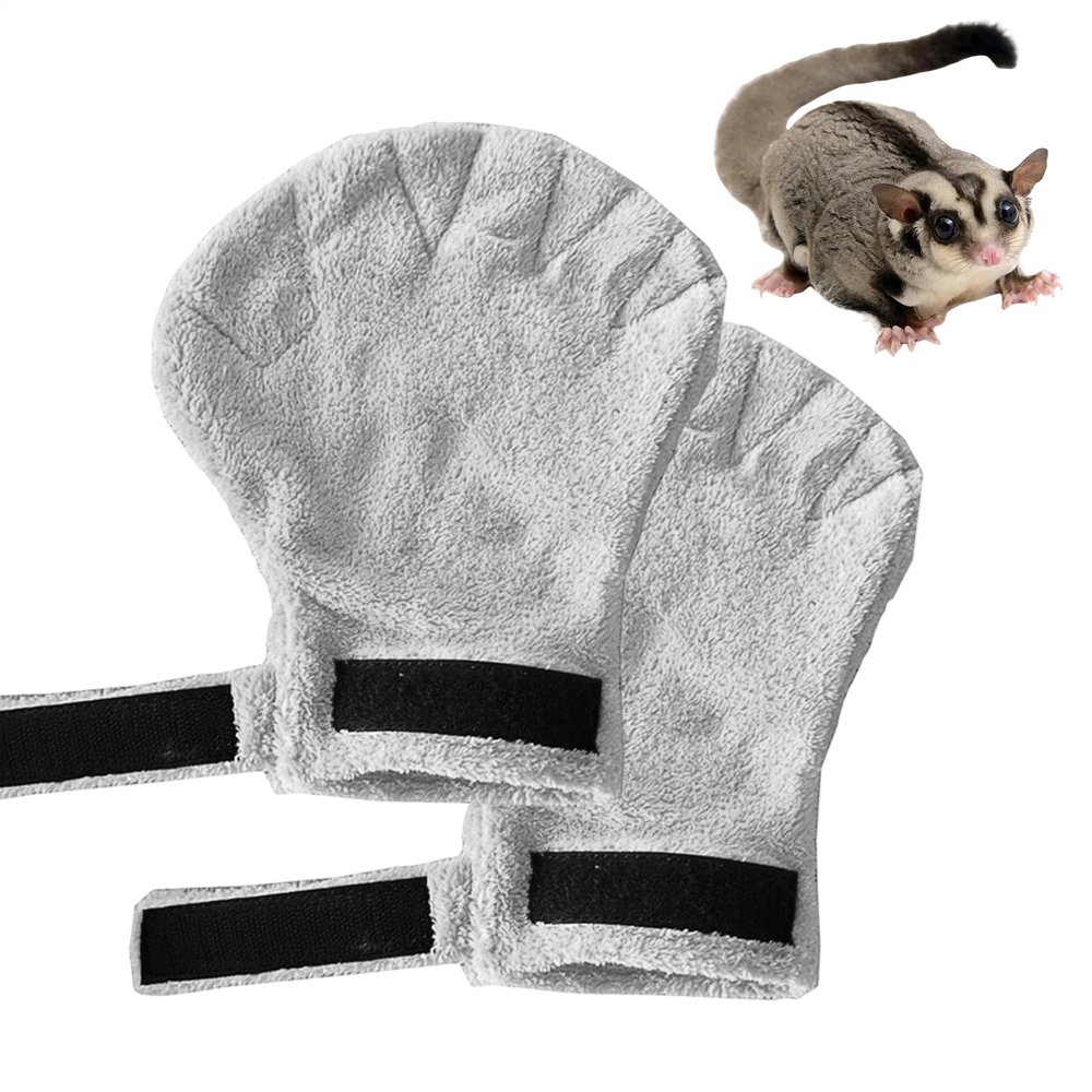 Sugar Glider Bonding Mitt