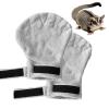Sugar Glider Bonding Mitt view 1