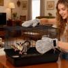 Sugar Glider Bonding Mitt view 2