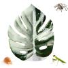 Generic Jumping Spider Plants - Realistic Leaf Design for Hermit Crab Accessories view 1