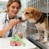 Generic Silicone Lids for Dog Food Cans, Airtight and Secure view 2