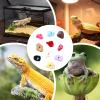 Gazocua Climbing Accessories for Bearded Dragons - 10 Pieces view 4