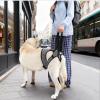 Dog Lift Harness with Quick Release view 2